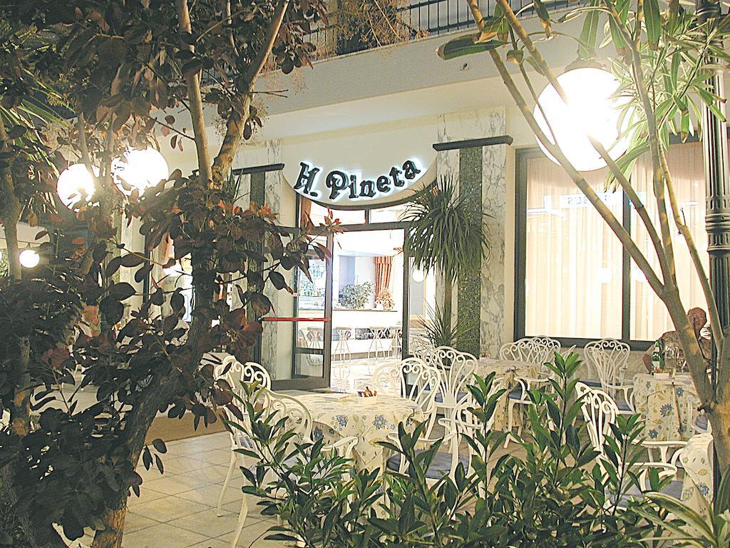 Hotel Pineta Bellaria-Igea Marina Zewnętrze zdjęcie